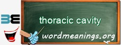 WordMeaning blackboard for thoracic cavity